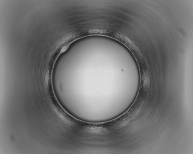 X0000113030637200909101858