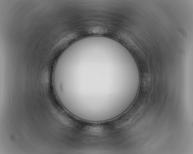 X0000113030639200909101858