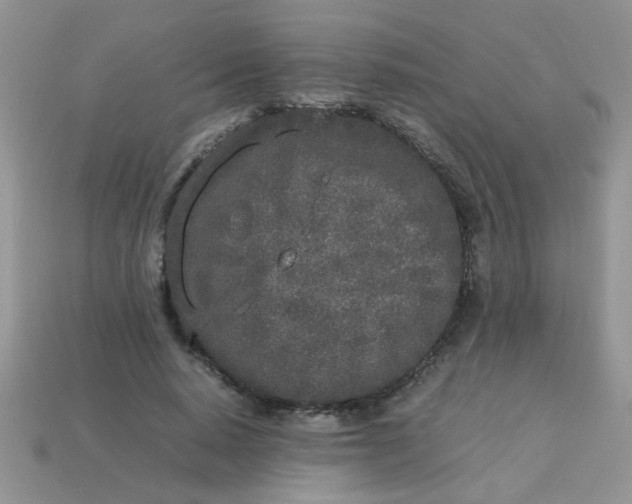 X0000113030640200909101858