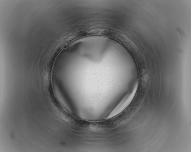 X0000113030641200909101858