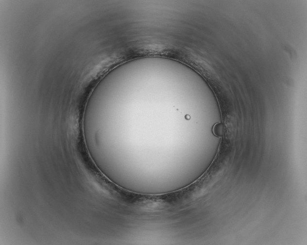 X0000113030642200909101859