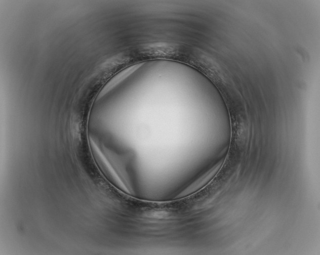 X0000113030643200909101859