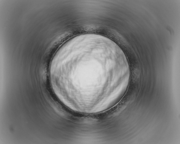 X0000113030644200909101859