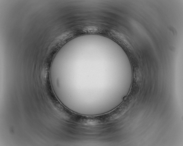 X0000113030645200909101859