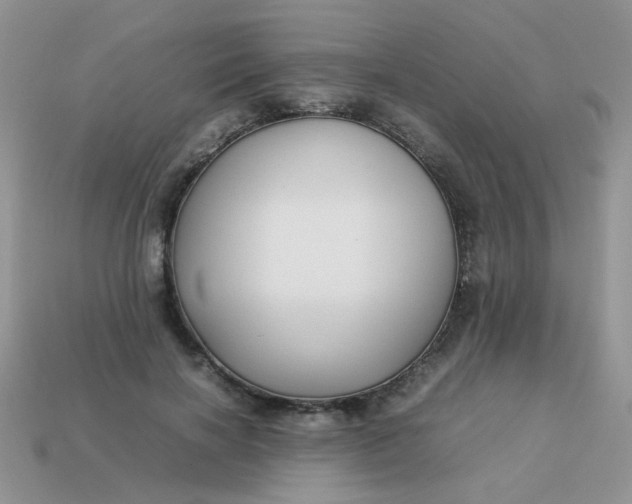 X0000113030646200909101859