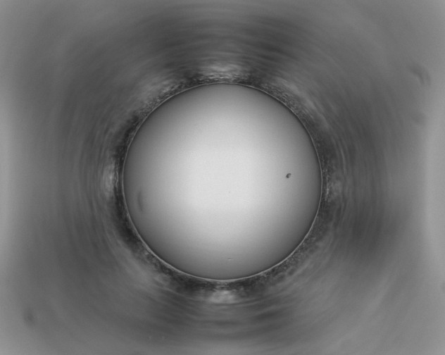 X0000113030647200909101859