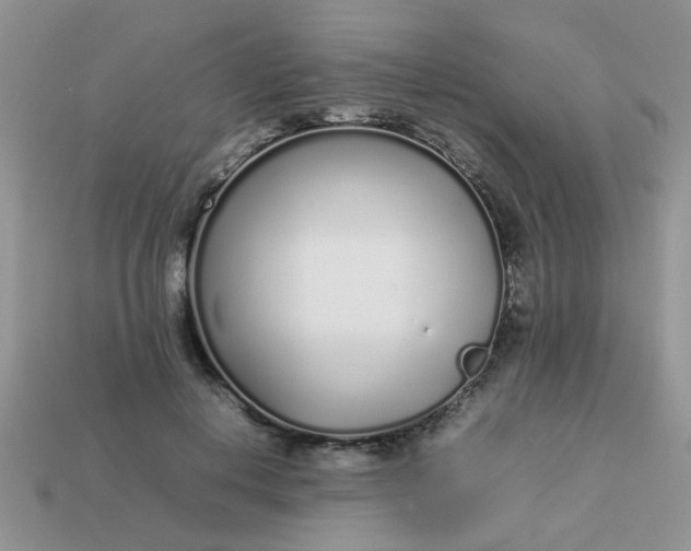 X0000113030648200909101859