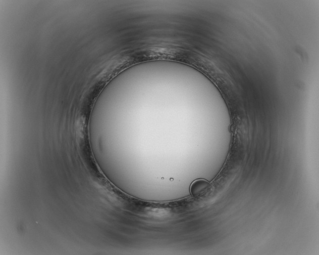 X0000113030649200909101859