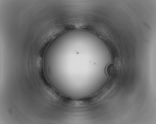 X0000113030650200909101859