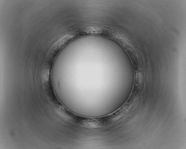 X0000113030652200909101859