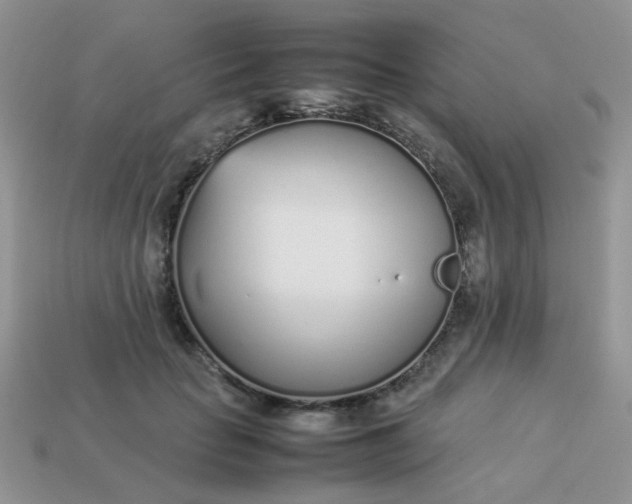 X0000113030653200909101859