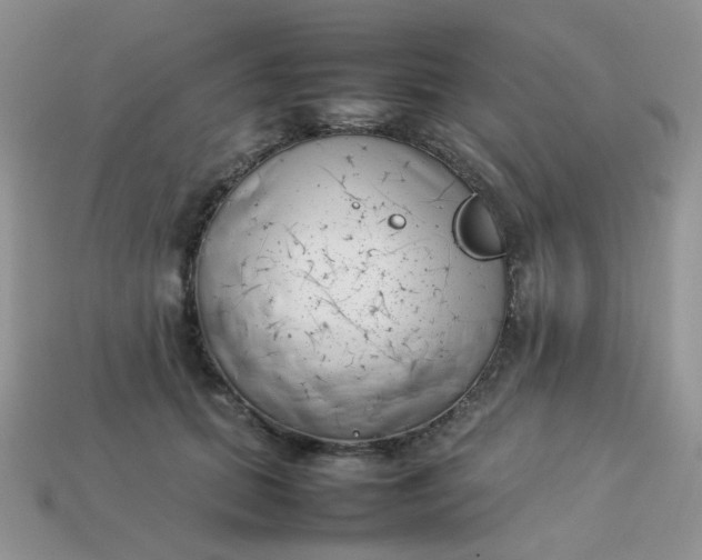 X0000113030655200909101859