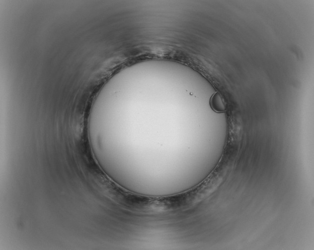 X0000113030656200909101859