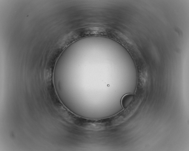 X0000113030657200909101859