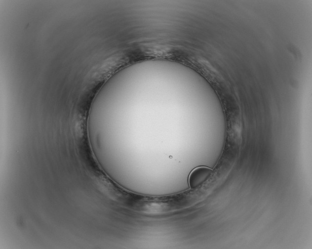 X0000113030658200909101859