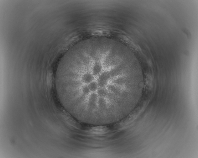 X0000113030659200909101859