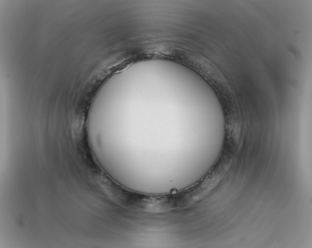 X0000113030660200909101859