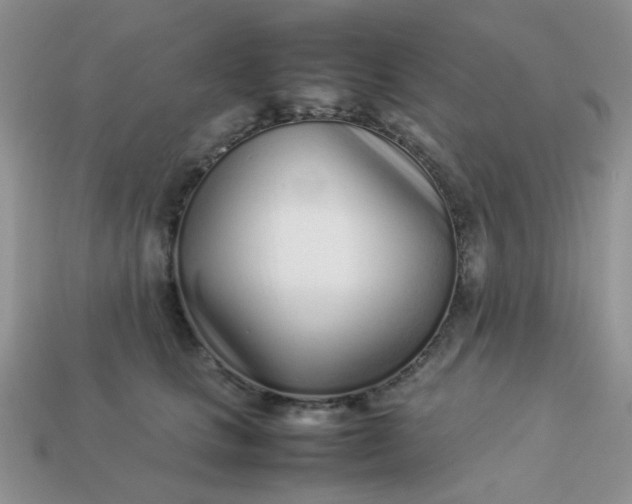 X0000113030661200909101859