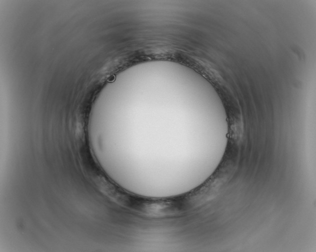 X0000113030662200909101859