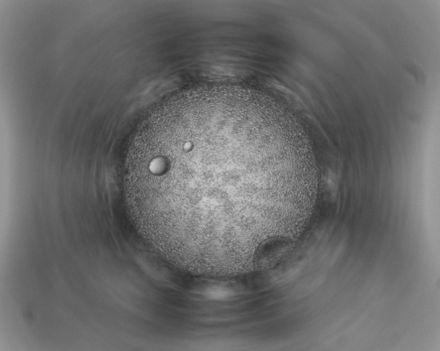 X0000113030663200909101859