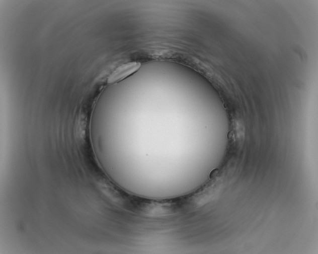 X0000113030664200909101859