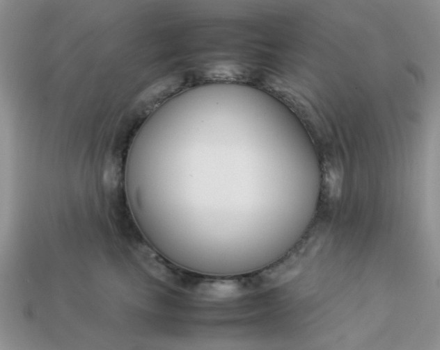 X0000113030665200909101859