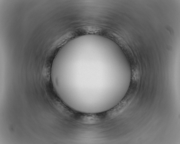 X0000113030666200909101859