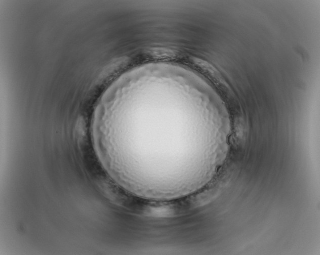 X0000113030667200909101859