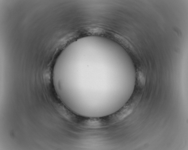 X0000113030668200909101859