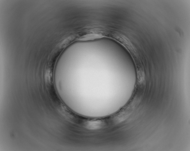 X0000113030669200909101859