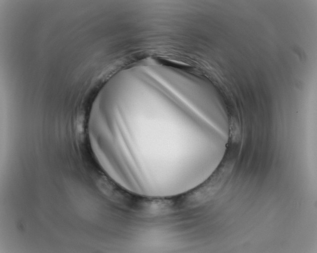 X0000113030670200909101859