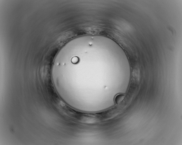 X0000113030671200909101859