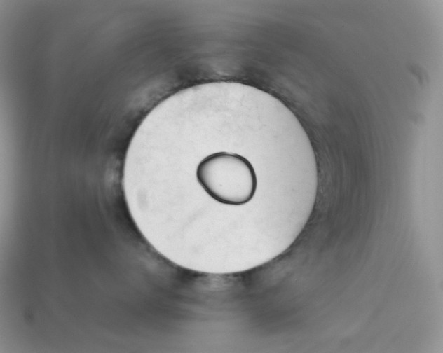 X0000113030672200909101859