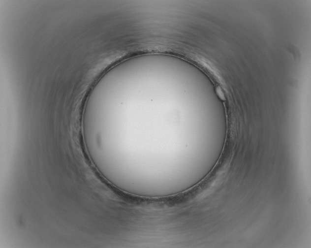 X0000113030673200909101858