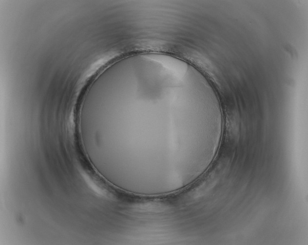 X0000113030674200909101858