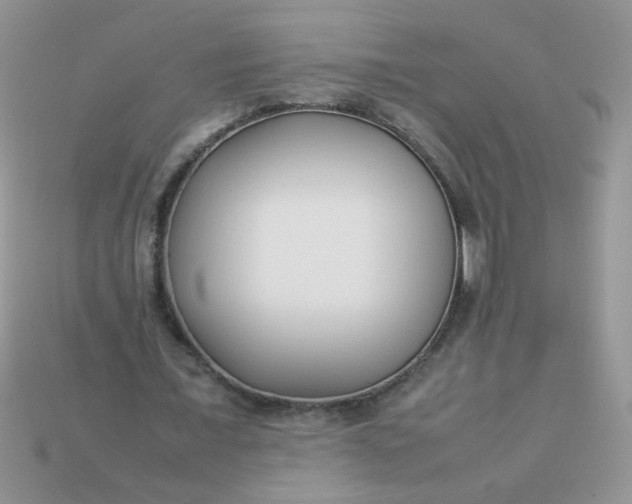 X0000113030675200909101858