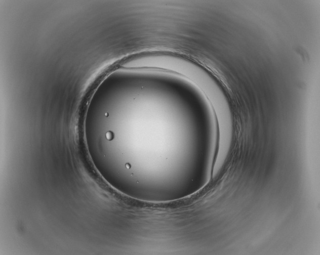 X0000113030676200909101858