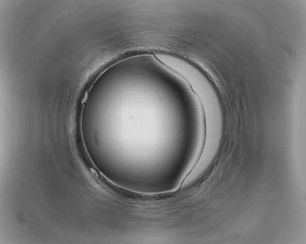 X0000113030677200909101858