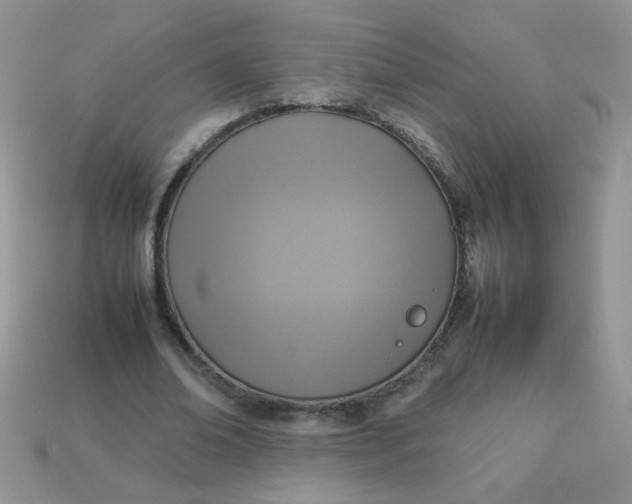 X0000113030678200909101858