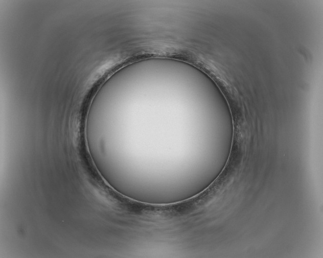 X0000113030679200909101858