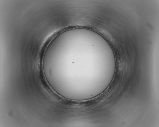 X0000113030680200909101858