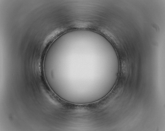 X0000113030682200909101858