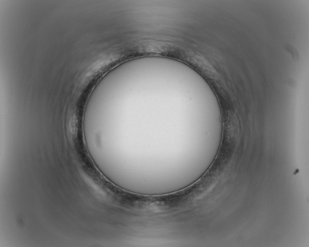 X0000113030683200909101858