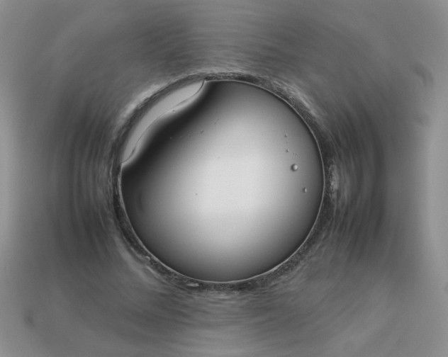 X0000113030684200909101858