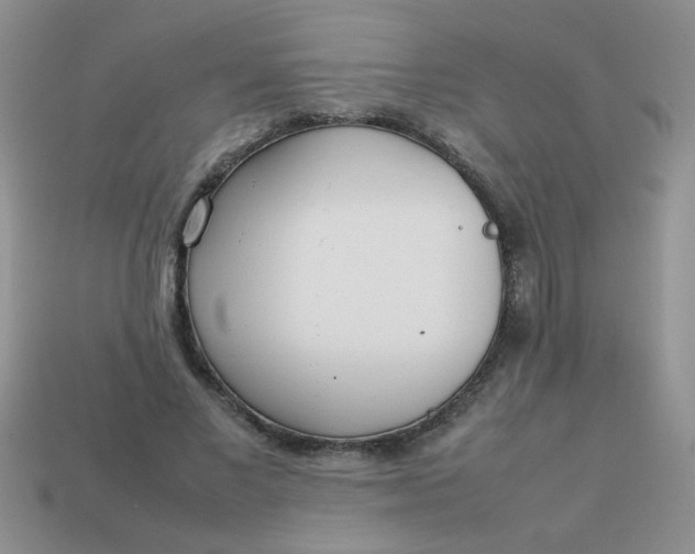 X0000113030685200909101858