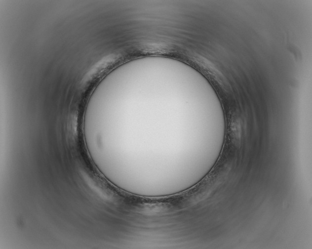 X0000113030686200909101858