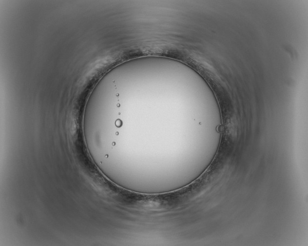 X0000113030687200909101858