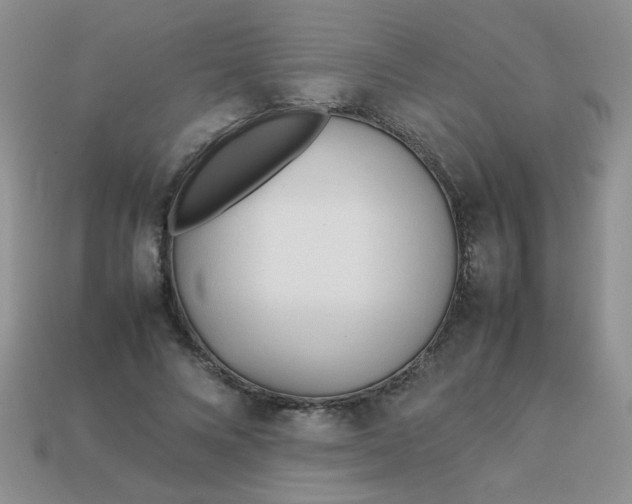 X0000113030688200909101858