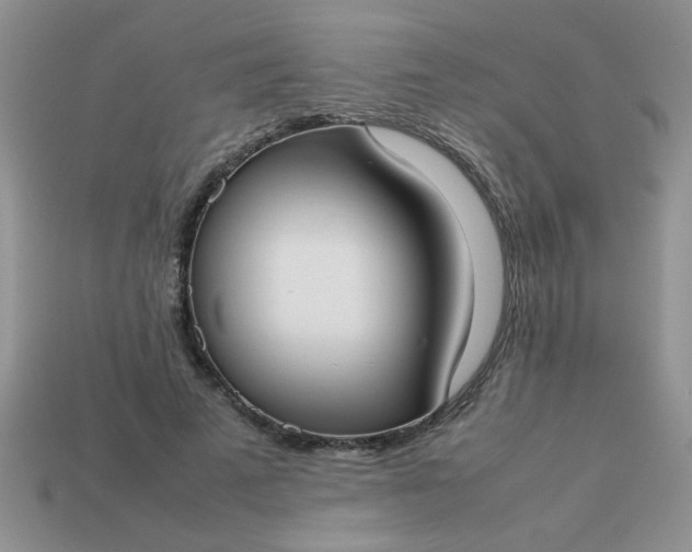 X0000113030689200909101858