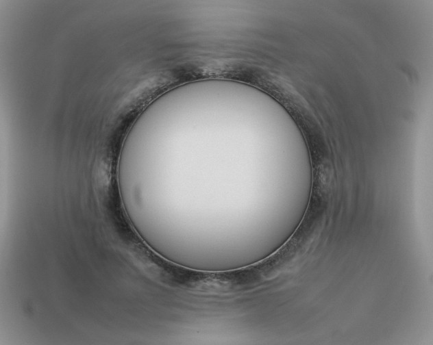 X0000113030691200909101858